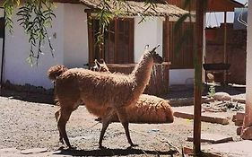 Cabanas Voyage Atacama